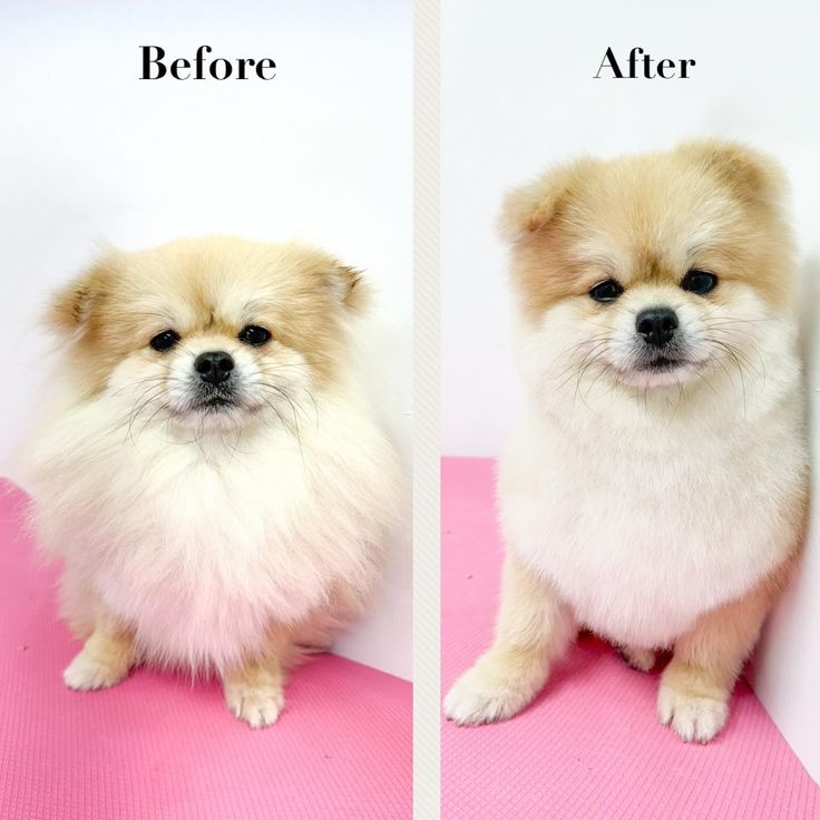 Transformation 1